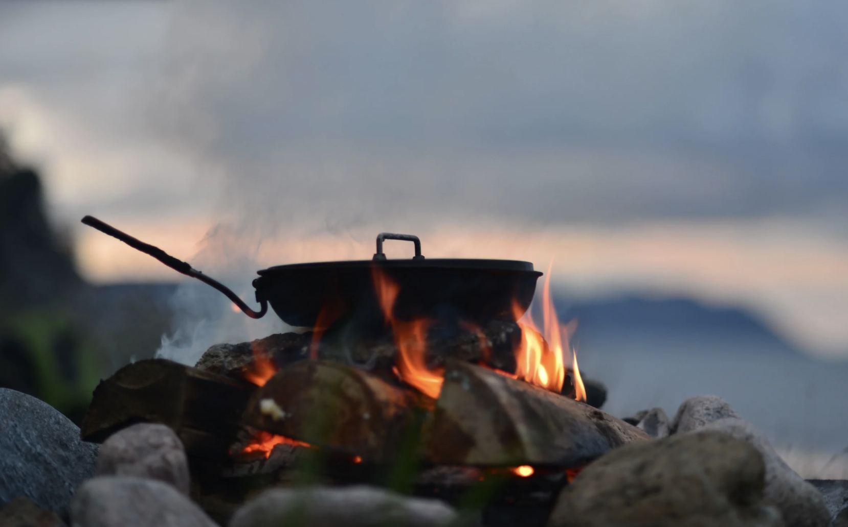 Foraging and food preparation in the wilderness
