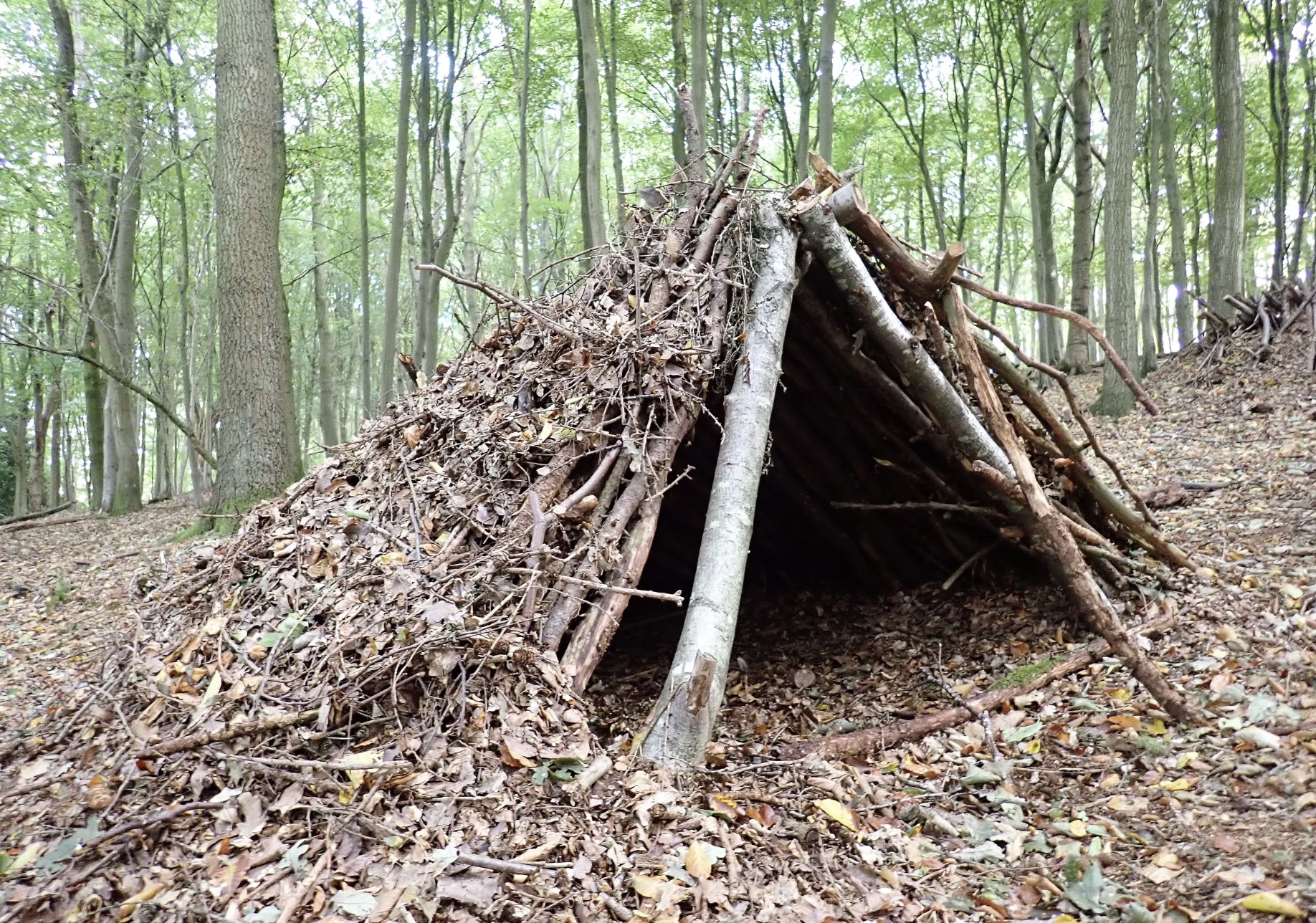 A wilderness scene showing shelter building terrain