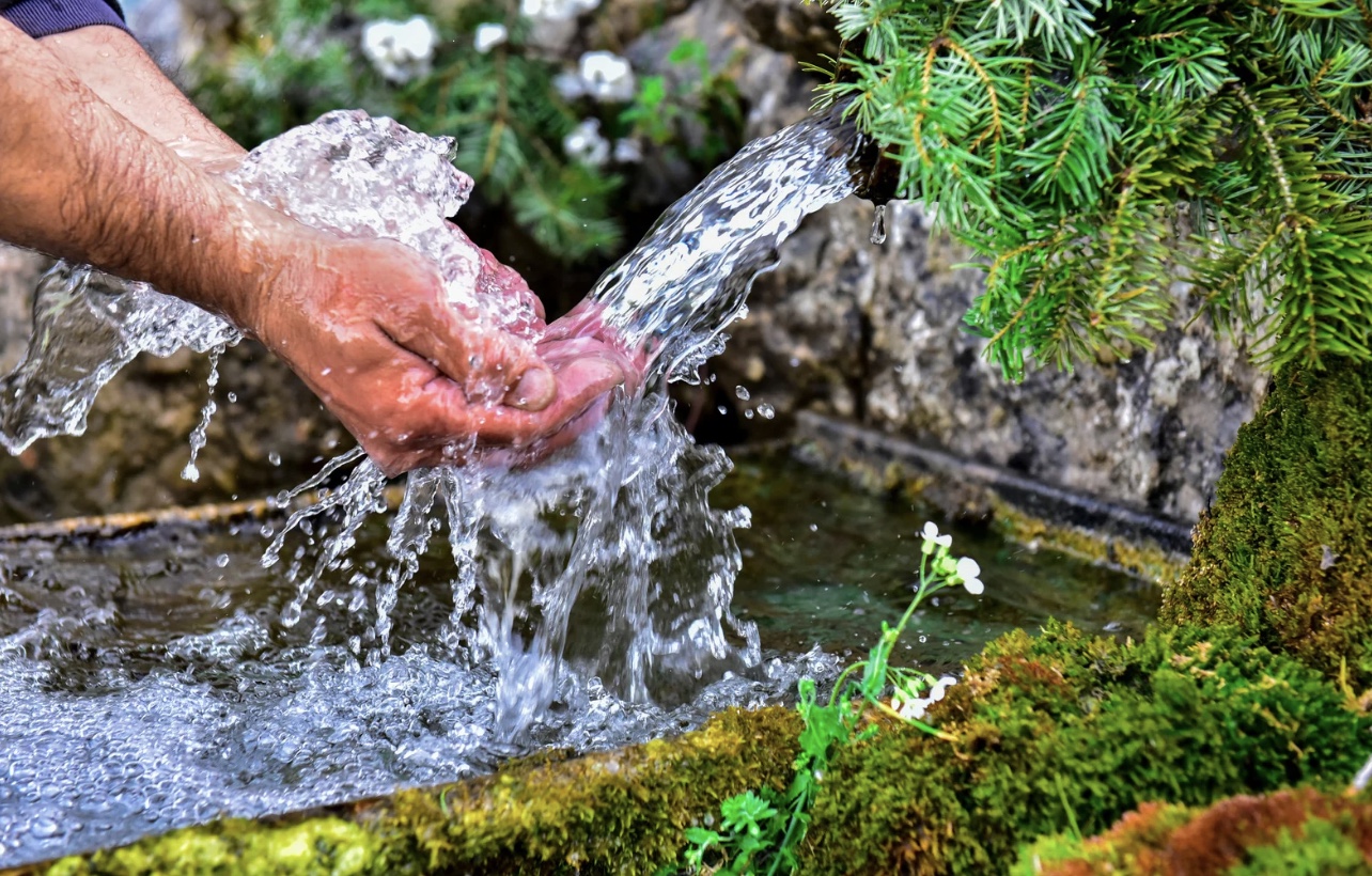Finding water in the wilderness